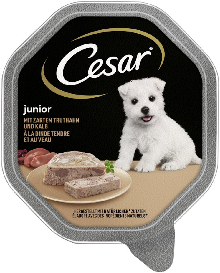 Cesar Hunde-Nassfutter Junior Truthahn & Kalb in Pastete